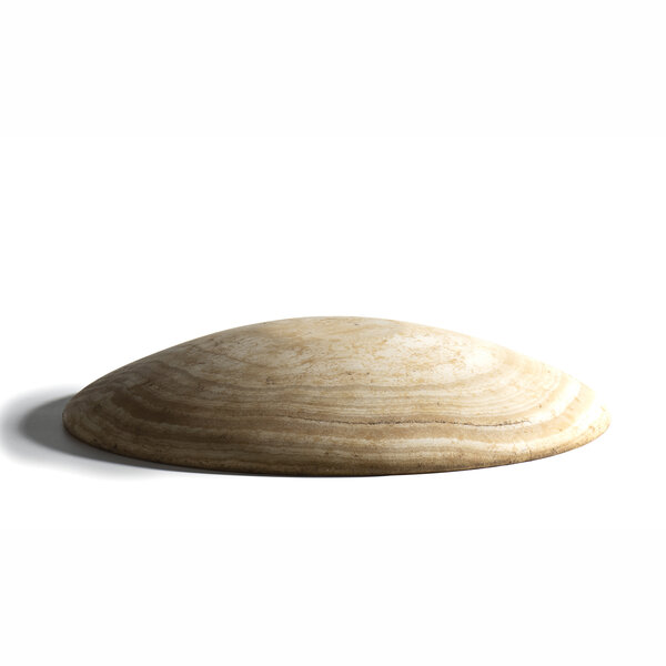 Immagine aggiuntiva 7