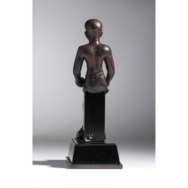 Immagine aggiuntiva 5