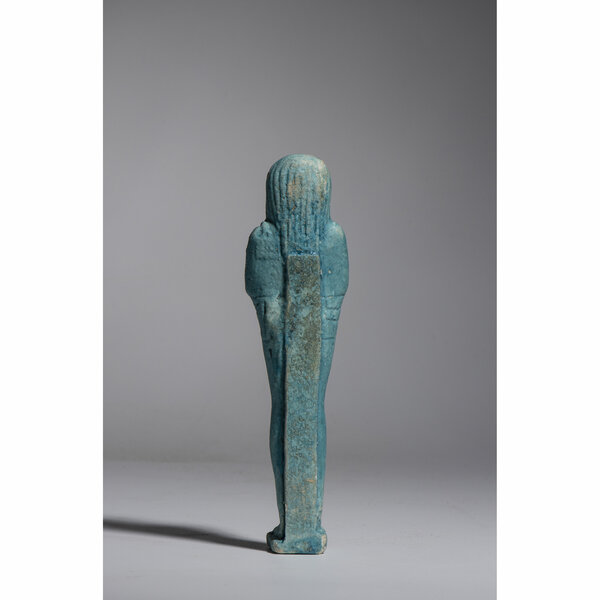 Immagine aggiuntiva 5