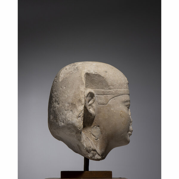 Immagine aggiuntiva 1