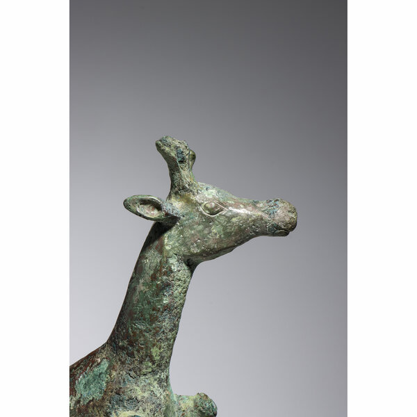 Immagine aggiuntiva 1