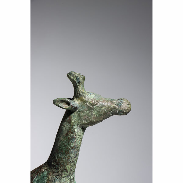 Immagine aggiuntiva 2