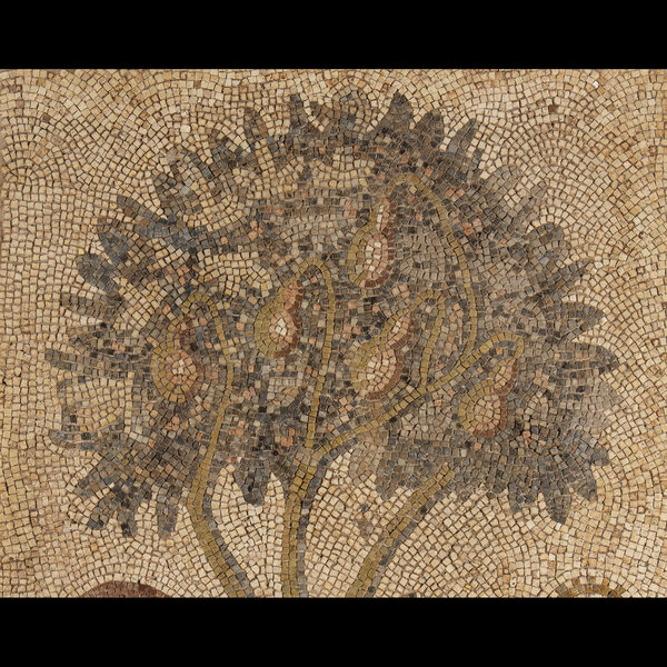 Immagine aggiuntiva 1