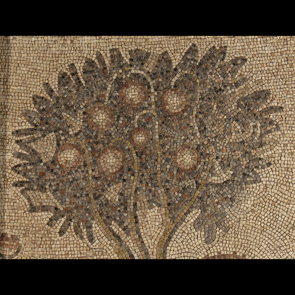 Immagine aggiuntiva 2