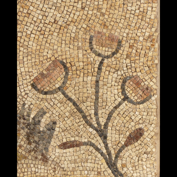 Immagine aggiuntiva 3