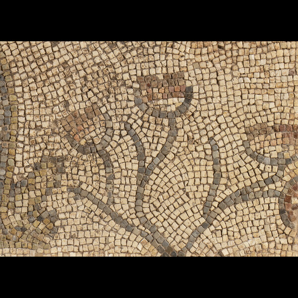 Immagine aggiuntiva 4