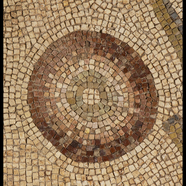 Immagine aggiuntiva 6