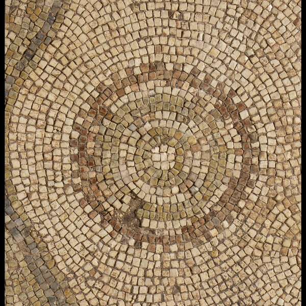 Immagine aggiuntiva 7