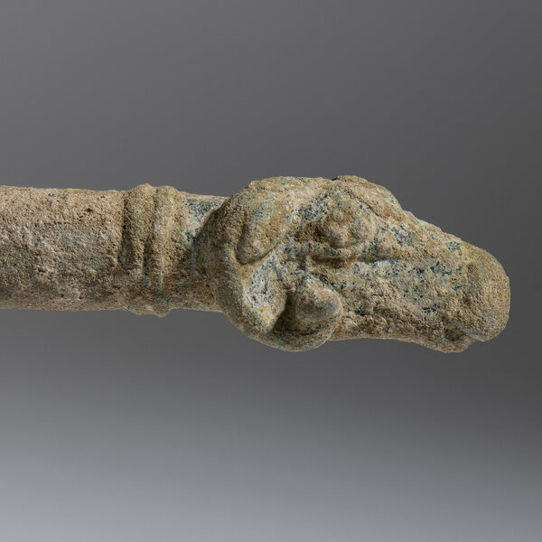 Immagine aggiuntiva 2