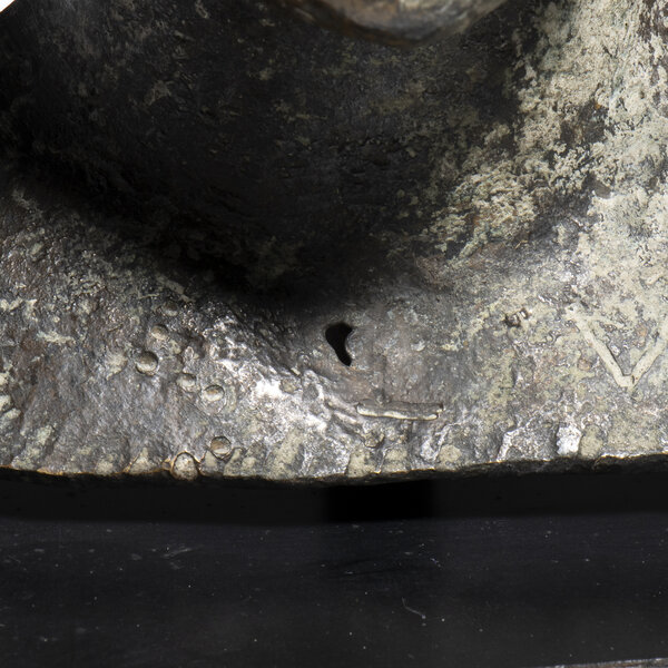 Immagine aggiuntiva 1