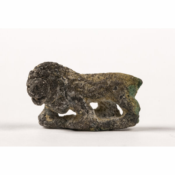 Immagine aggiuntiva 8