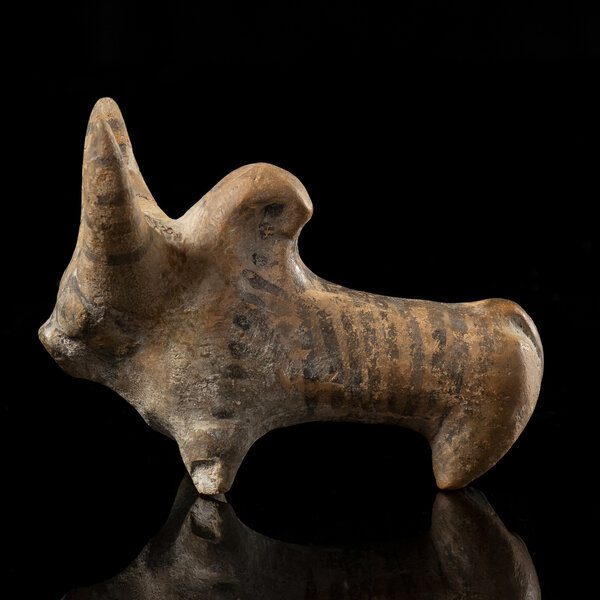 Immagine aggiuntiva 1