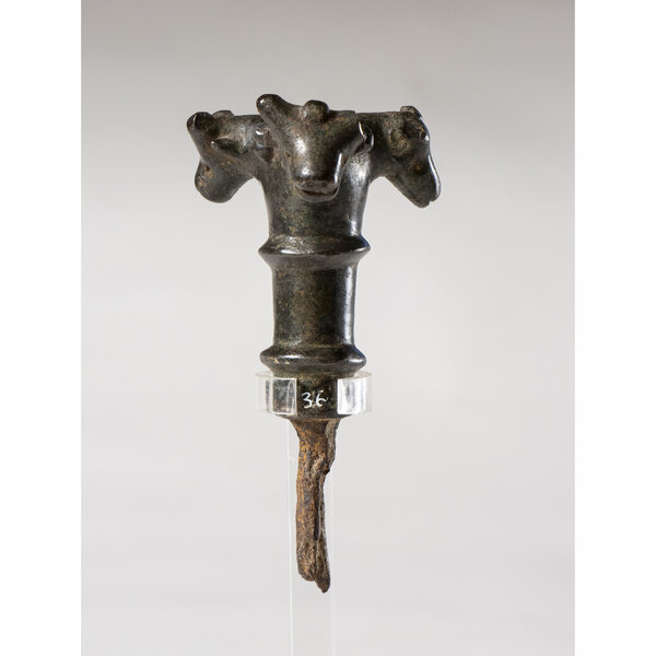 Immagine aggiuntiva 3