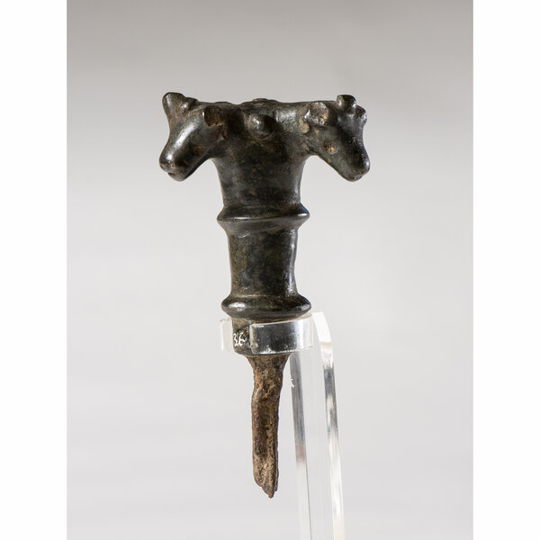 Immagine aggiuntiva 4