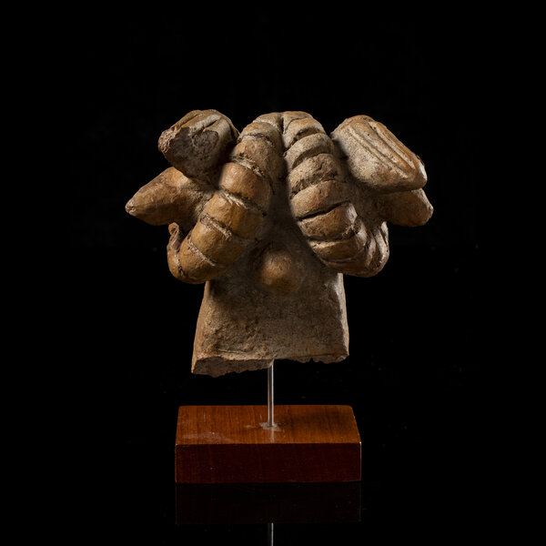 Immagine aggiuntiva 2