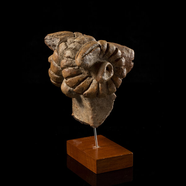 Immagine aggiuntiva 3