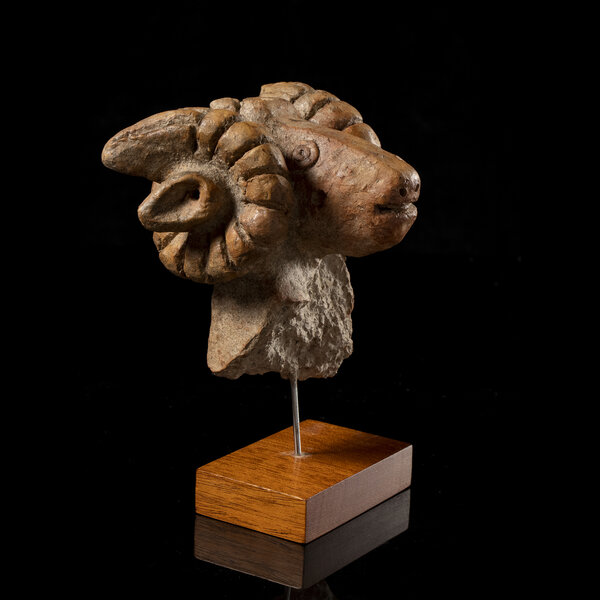 Immagine aggiuntiva 4