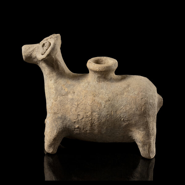 Immagine aggiuntiva 1