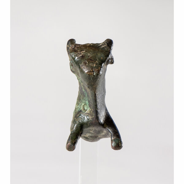 Immagine aggiuntiva 1