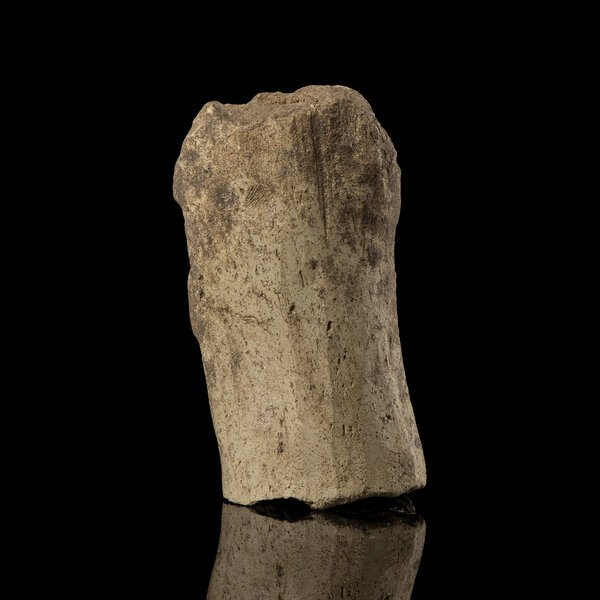 Immagine aggiuntiva 1