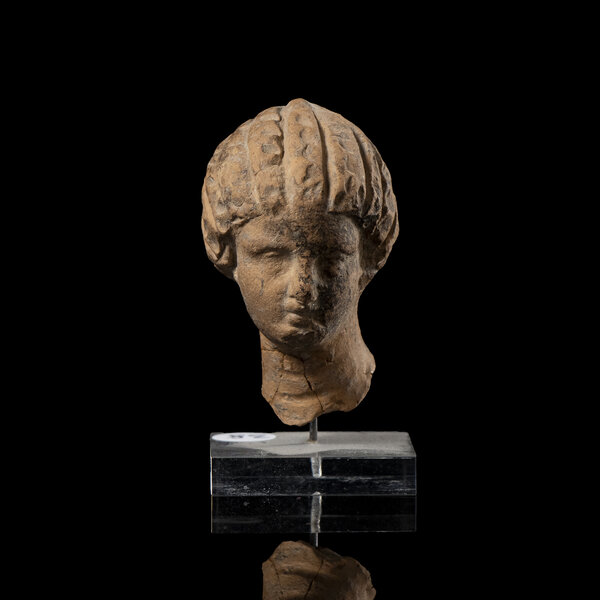 Immagine aggiuntiva 5