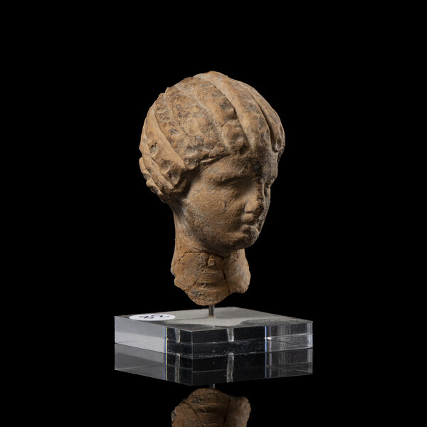 Immagine aggiuntiva 6