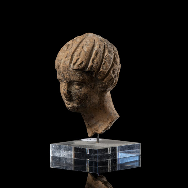 Immagine aggiuntiva 7