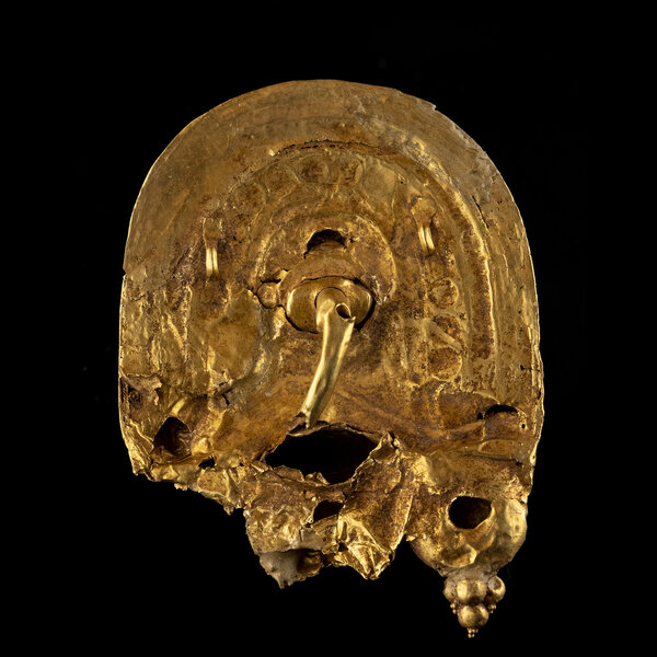 Immagine aggiuntiva 5