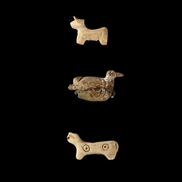 Immagine aggiuntiva 2