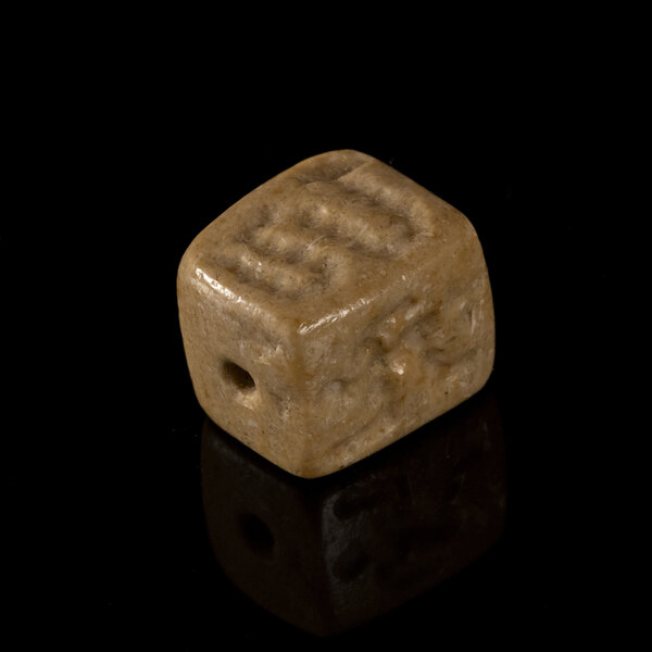 Immagine aggiuntiva 5