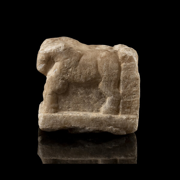 Immagine aggiuntiva 2