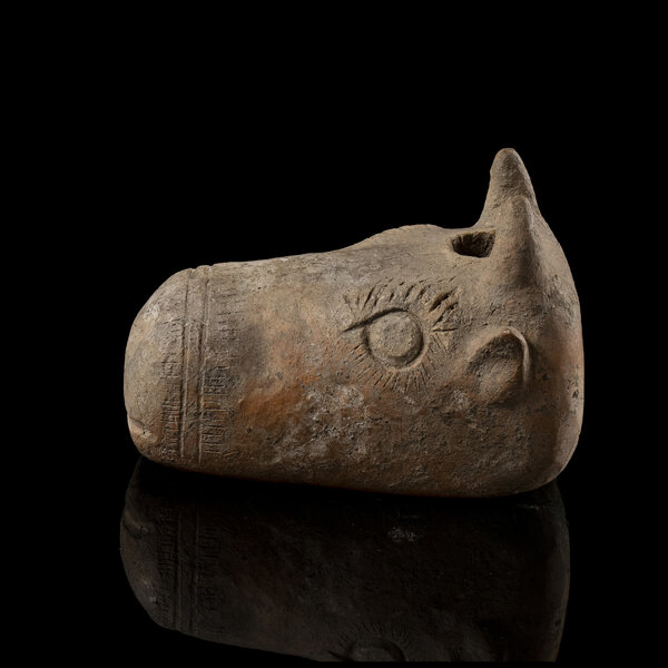 Immagine aggiuntiva 1