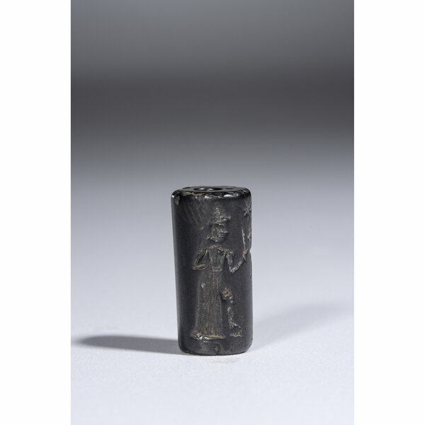 Immagine aggiuntiva 2