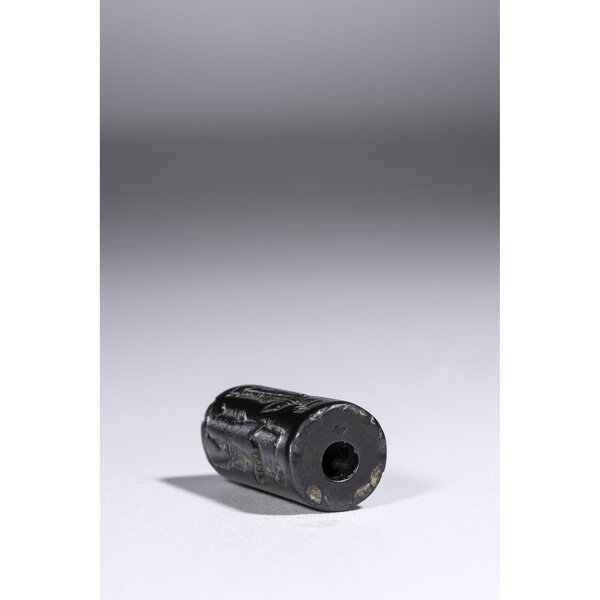 Immagine aggiuntiva 3