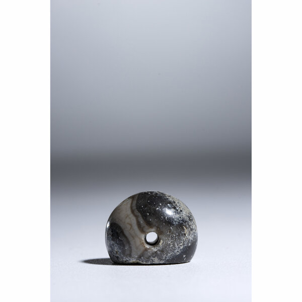 Immagine aggiuntiva 3