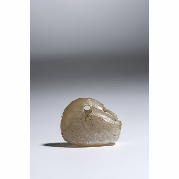 Immagine aggiuntiva 4