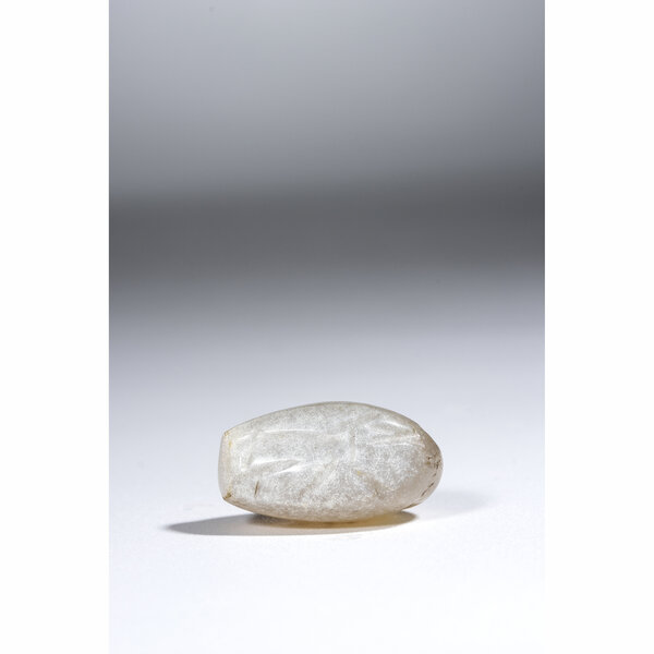 Immagine aggiuntiva 5