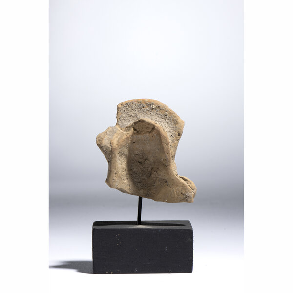 Immagine aggiuntiva 1