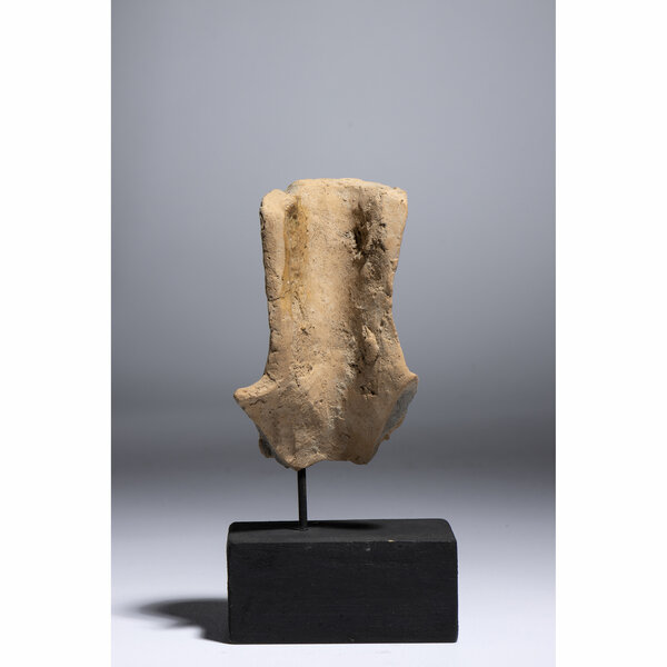 Immagine aggiuntiva 5