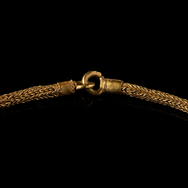 Immagine aggiuntiva 1