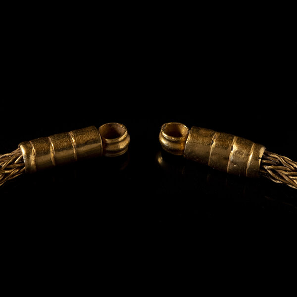 Immagine aggiuntiva 1