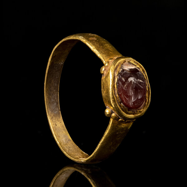 Immagine aggiuntiva 7