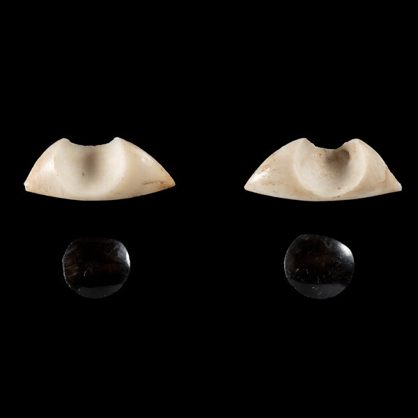 Immagine aggiuntiva 1