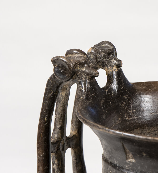 Immagine aggiuntiva 3