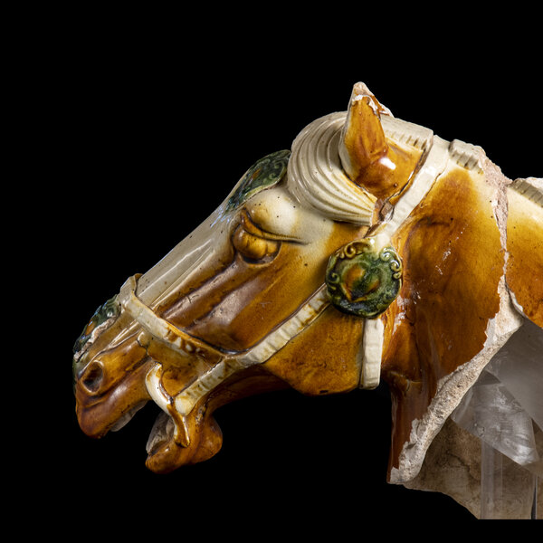 Immagine aggiuntiva 1