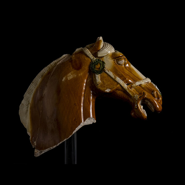 Immagine aggiuntiva 2