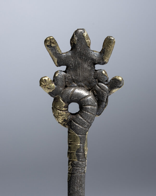 Immagine aggiuntiva 1