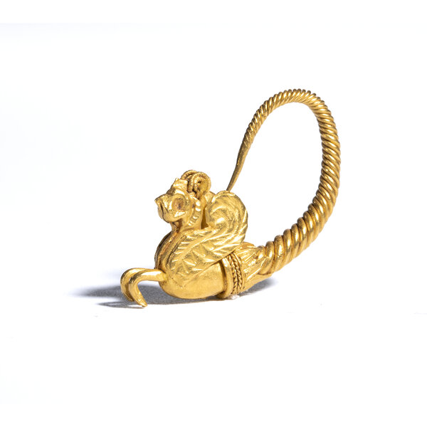 Immagine aggiuntiva 1