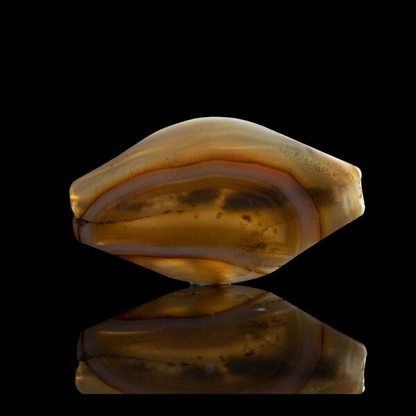 Immagine aggiuntiva 2