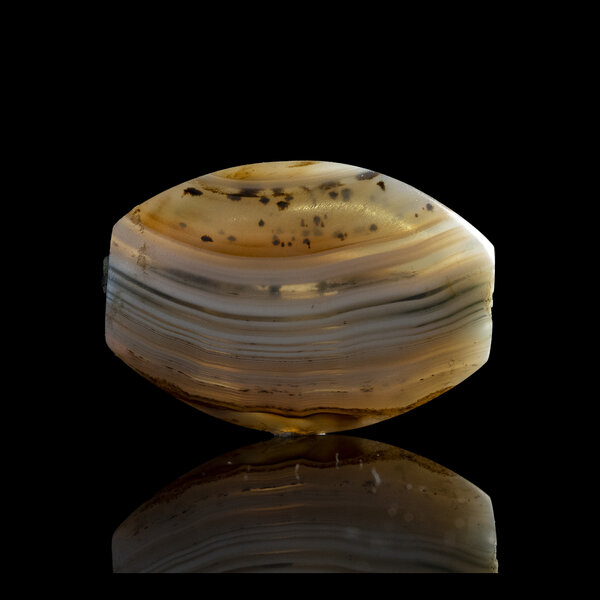 Immagine aggiuntiva 3